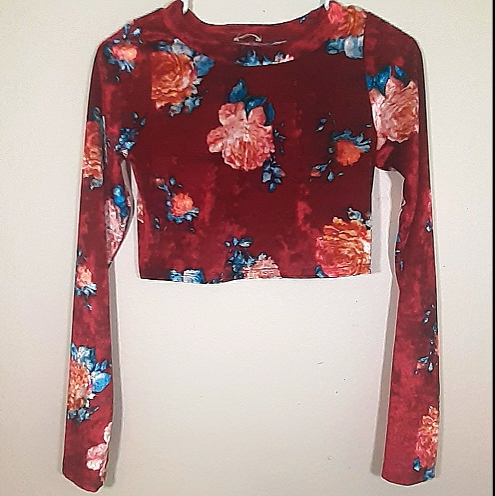 Red and Roses Velvet Top